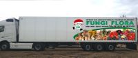 FUNGI LOGISTIK DOOEL